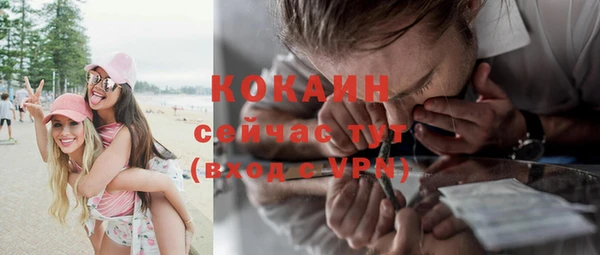 хмурый Белокуриха