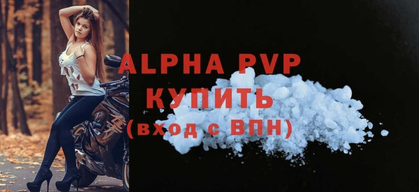 хмурый Белокуриха