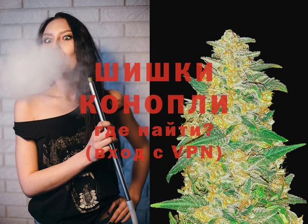 хмурый Белокуриха