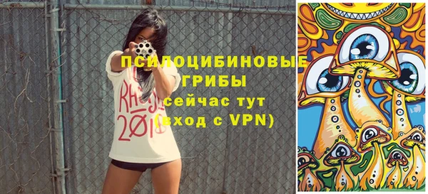 хмурый Белокуриха